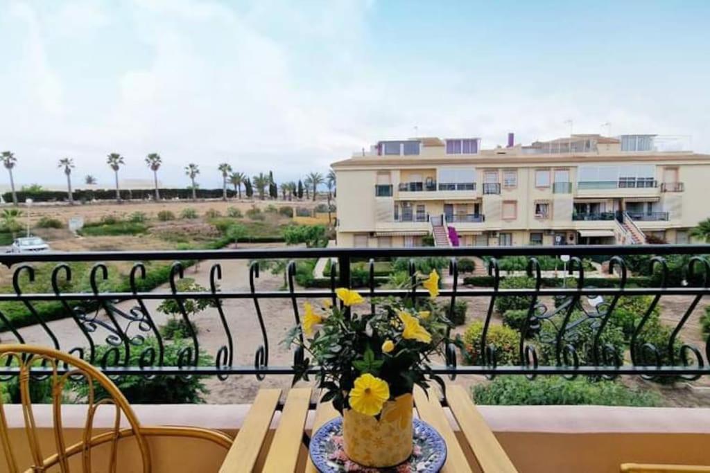 Apartament Palma Torrevieja - Rooftop Tarrace Leilighet Eksteriør bilde