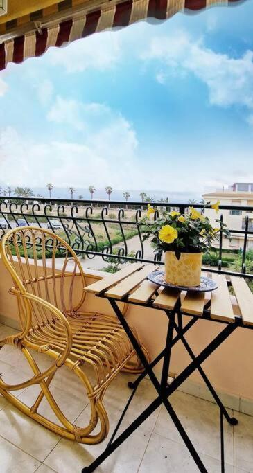 Apartament Palma Torrevieja - Rooftop Tarrace Leilighet Eksteriør bilde